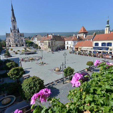 Hotel Irottkoe Kőszeg Eksteriør bilde